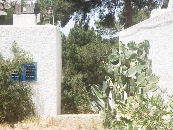 3 days in Ibiza