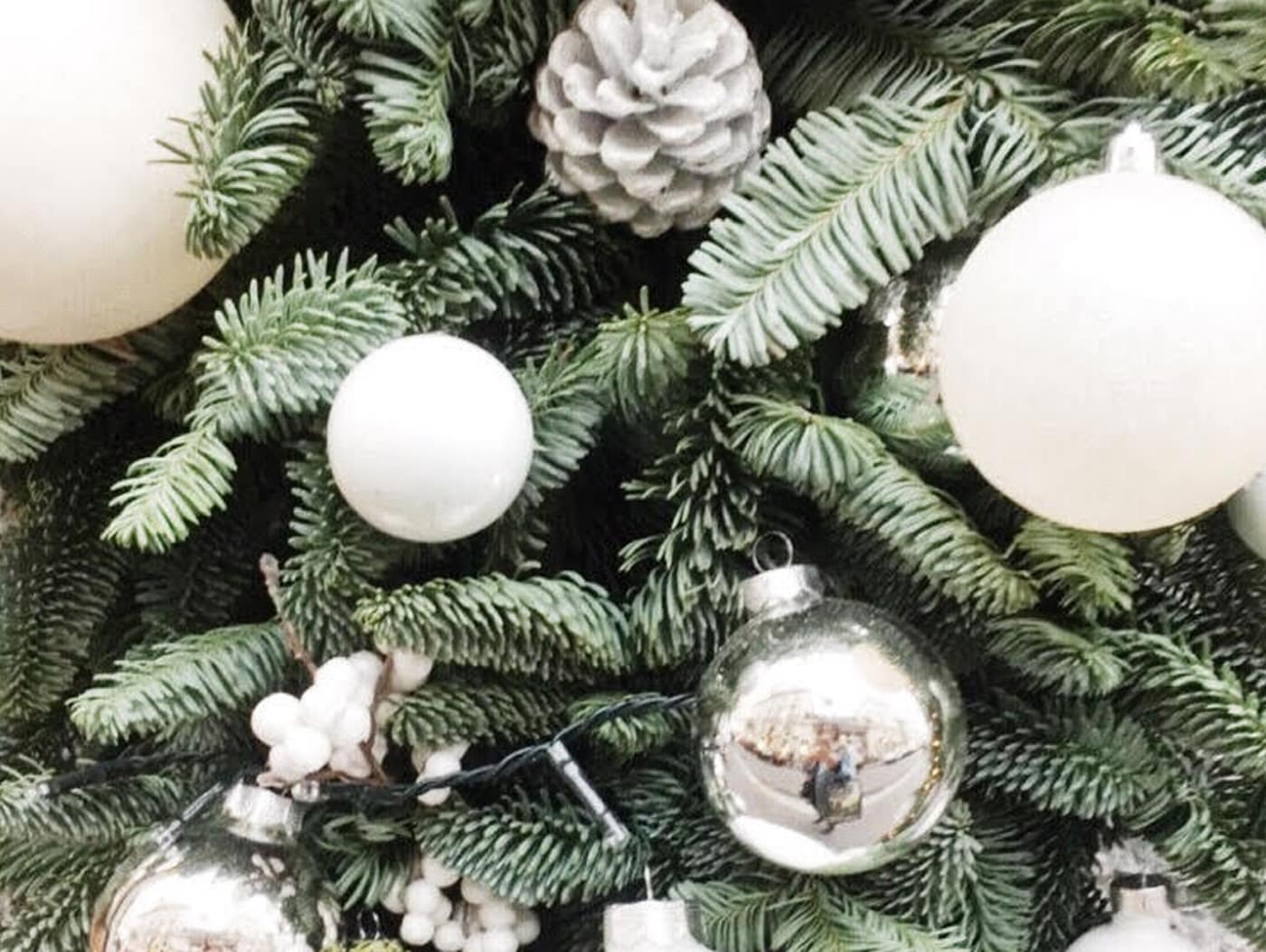 Party Season Prep – Your Time to Shine
