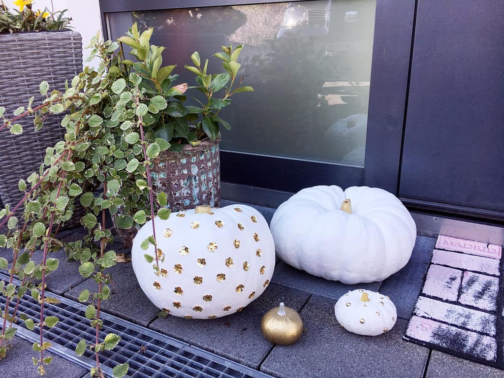 pumpkins