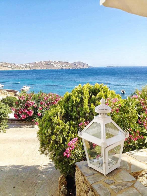 Greece is always a good idea