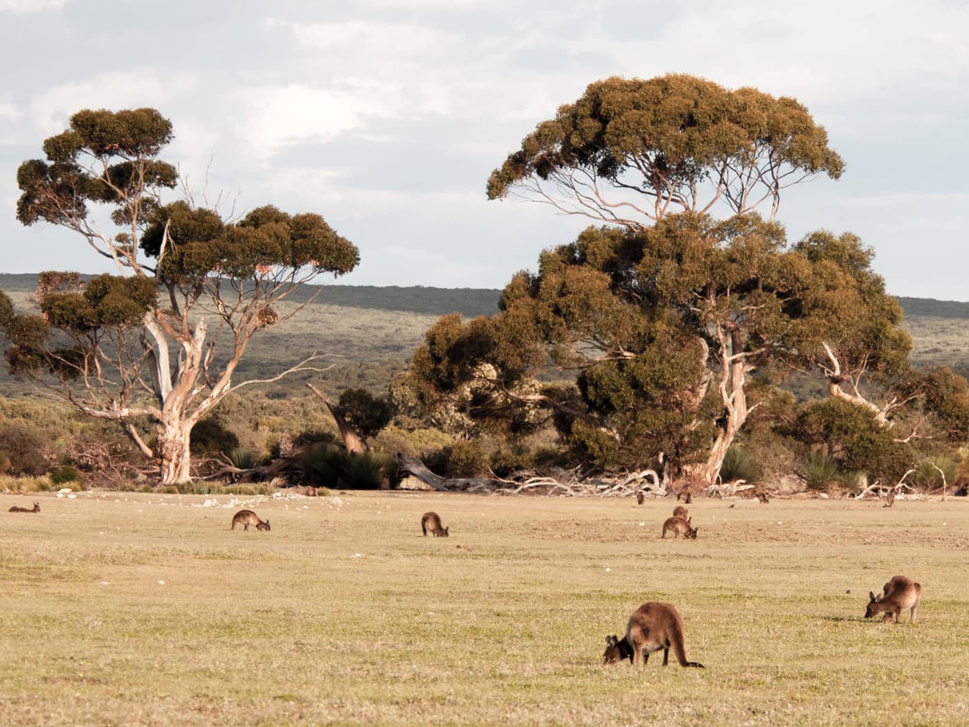4 Unexpected Australian Cities