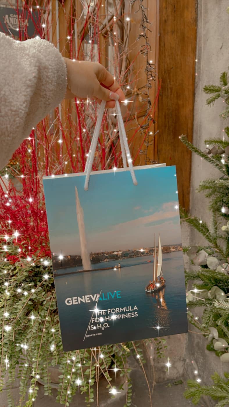 2 NIGHTS IN GENEVA WITH A 100 CHF GIFT CARD
